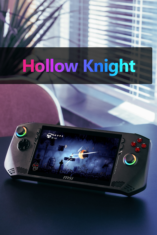 Hollow Knight